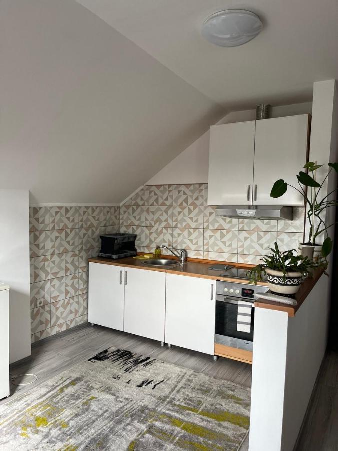 Apartman Salus 图兹拉 外观 照片